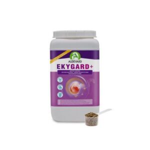 Ekygard
